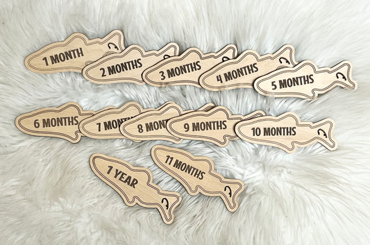 Newborn Milestone Set